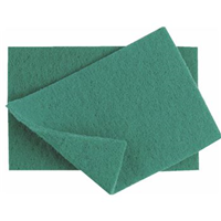 Green Scourers (Pack of 10) featured image