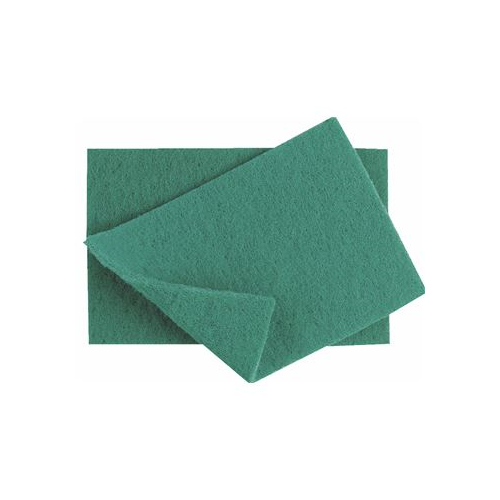 Green Scourers pk 10 featured image